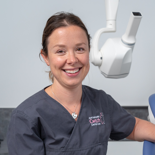 Cwtch Dental Care logo