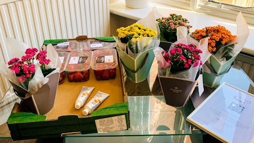 Serenity Dental logo